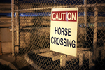 caution: horse crossing