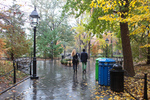 autumn, washington square park