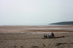 rock hunting, bay of fundy