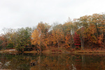 peak foliage