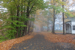 ashokan in fog